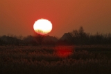 Sunset @ Uitkerke